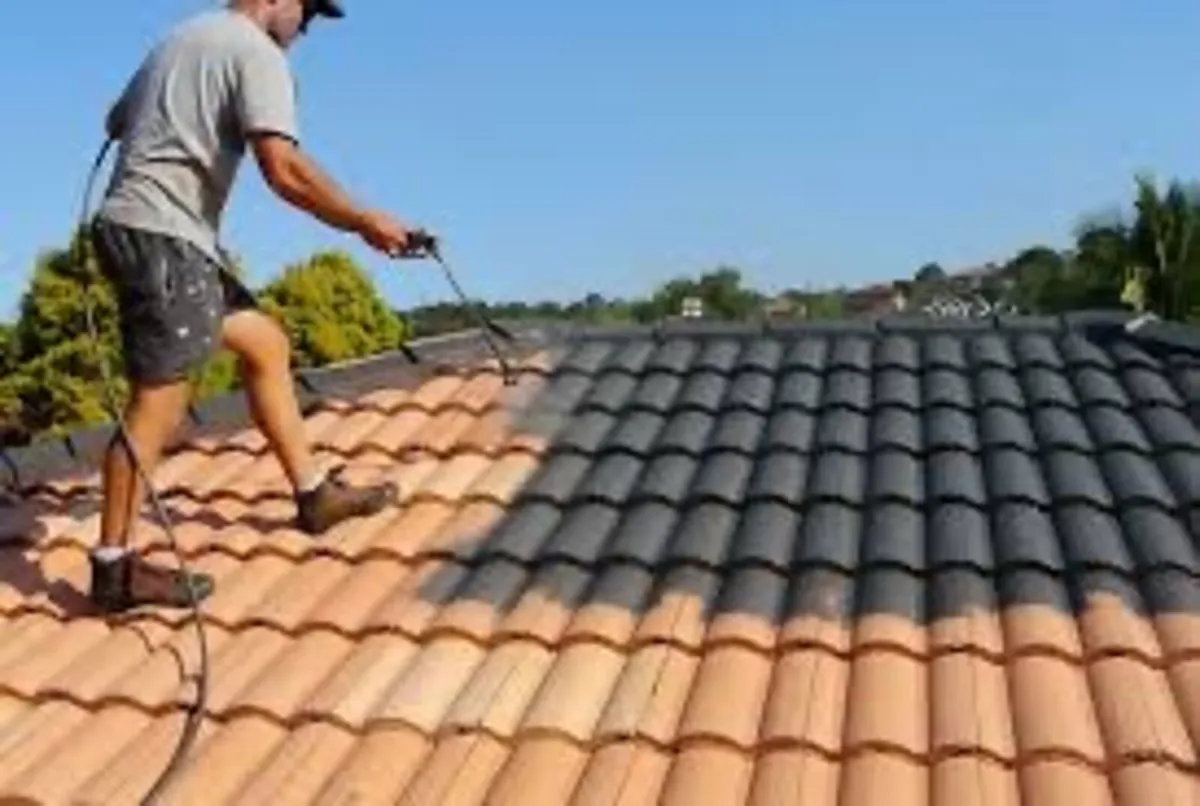 Roof/driveway paint - Image 1