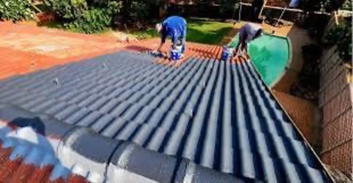 Roof/driveway paint - Image 3