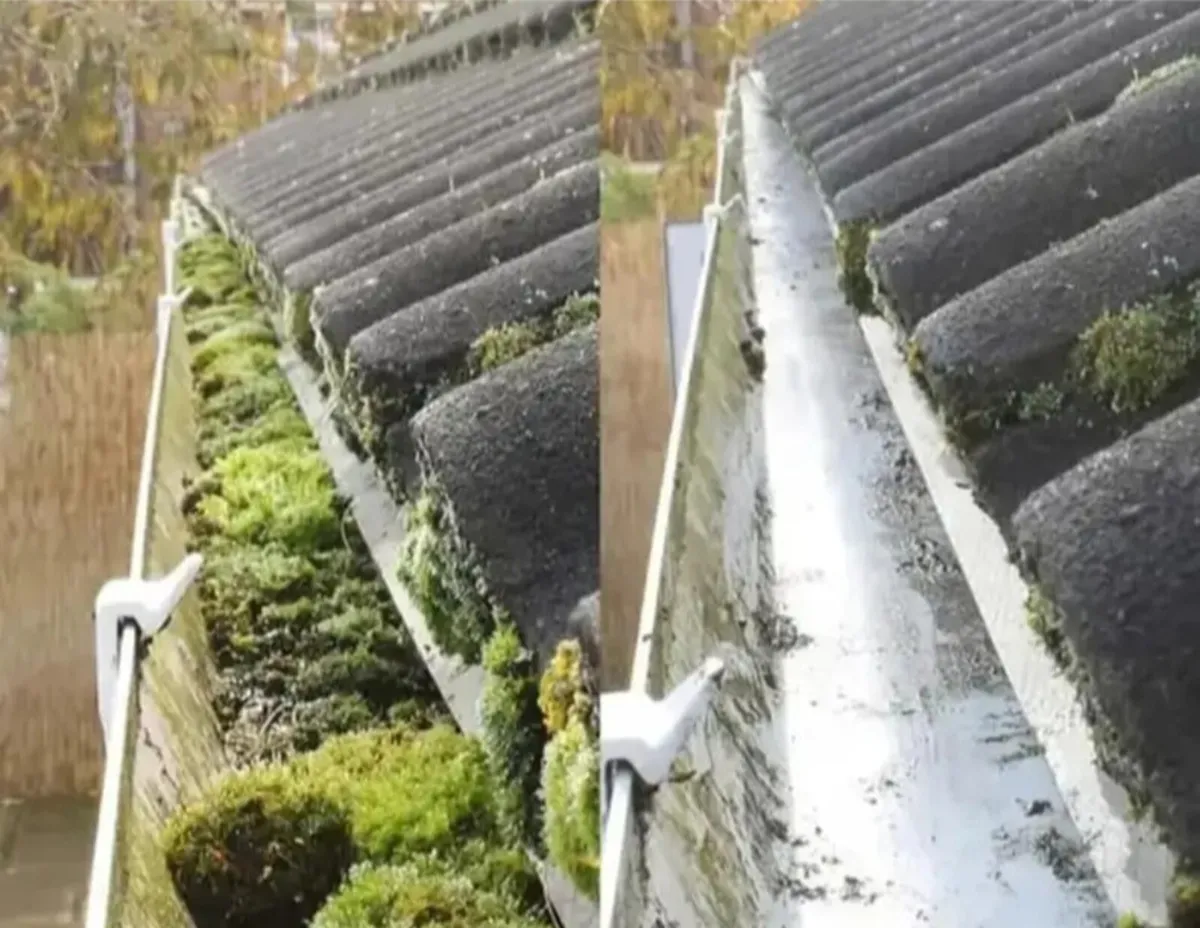 All gardenwork maintenance free quotations - Image 1