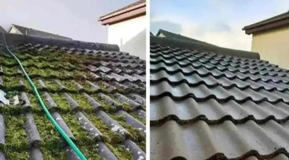All gardenwork maintenance free quotations - Image 2