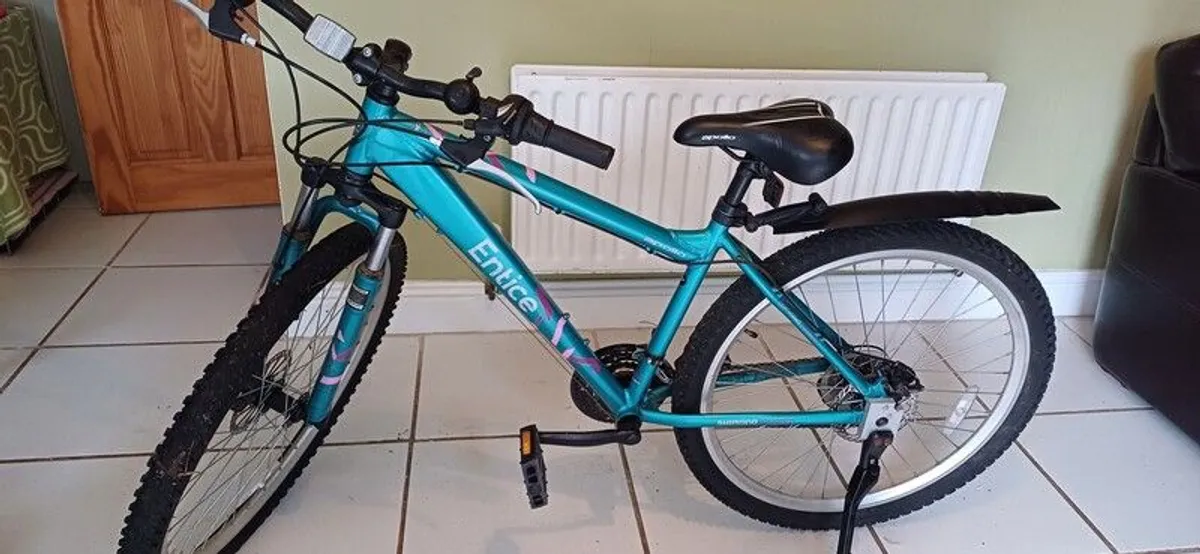 Bike for sale - Image 2
