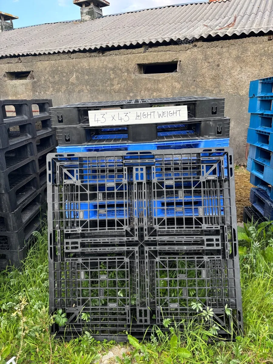 Pallets - Image 2