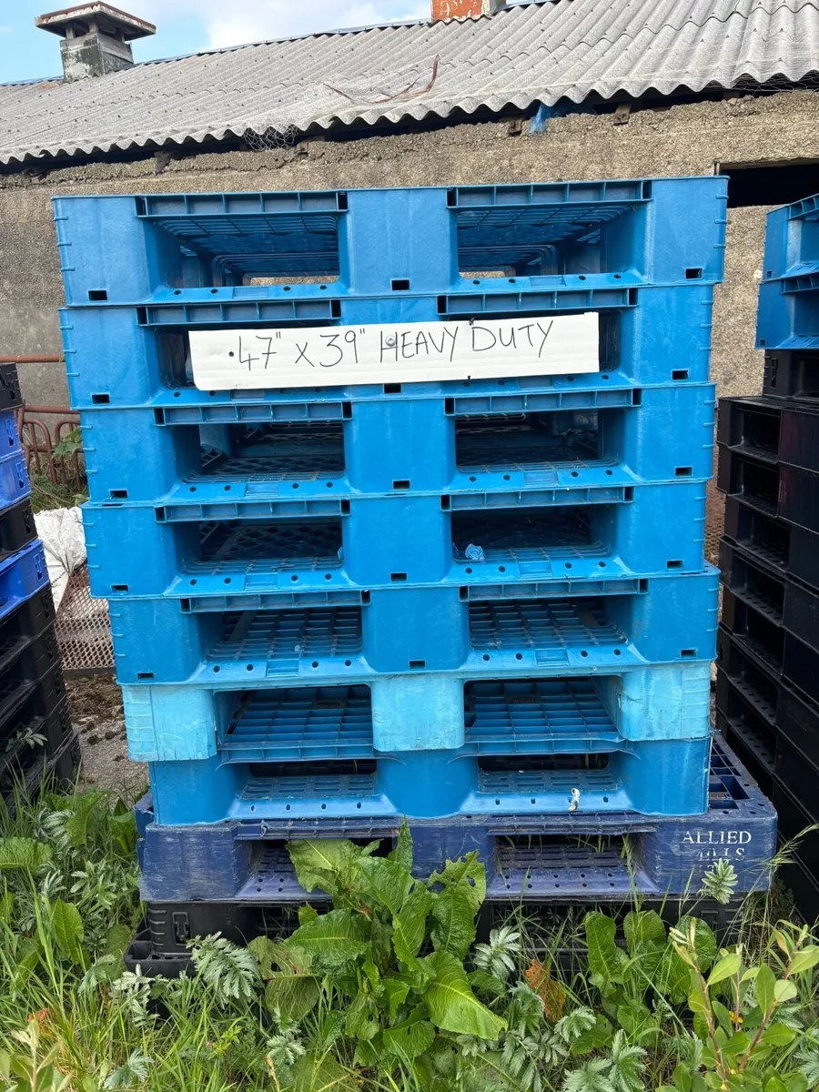 Pallets - Image 4
