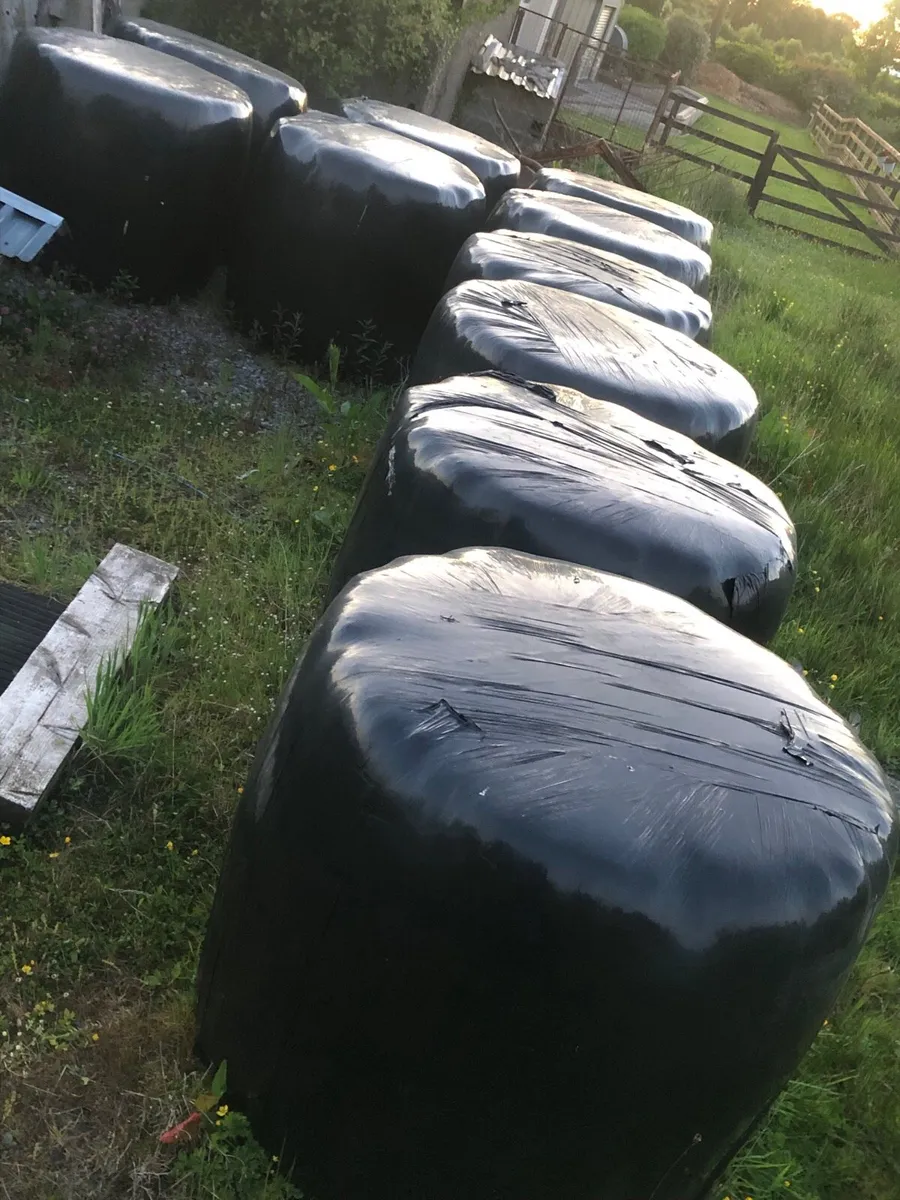 Haylage