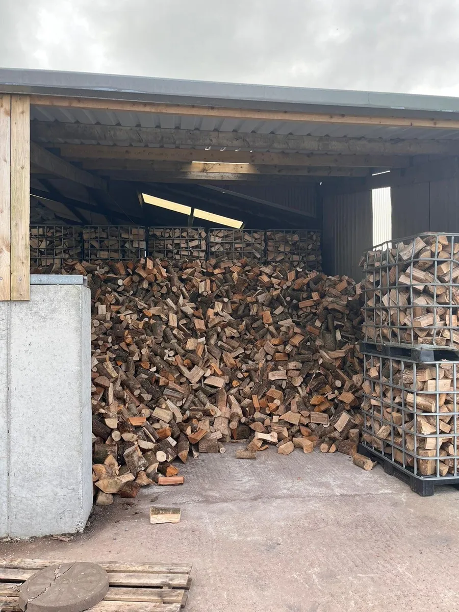Firewood - Image 2