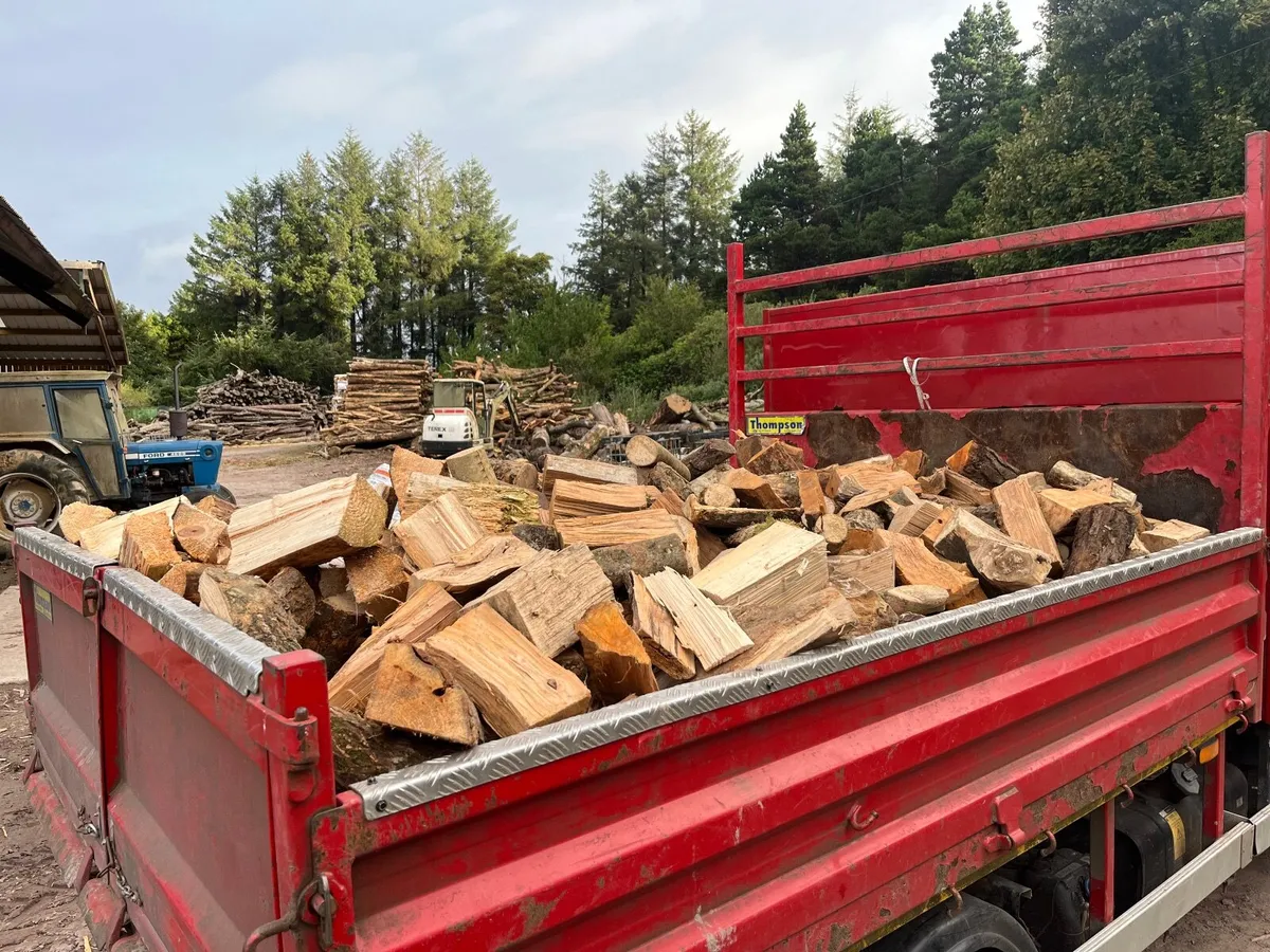 Firewood - Image 4