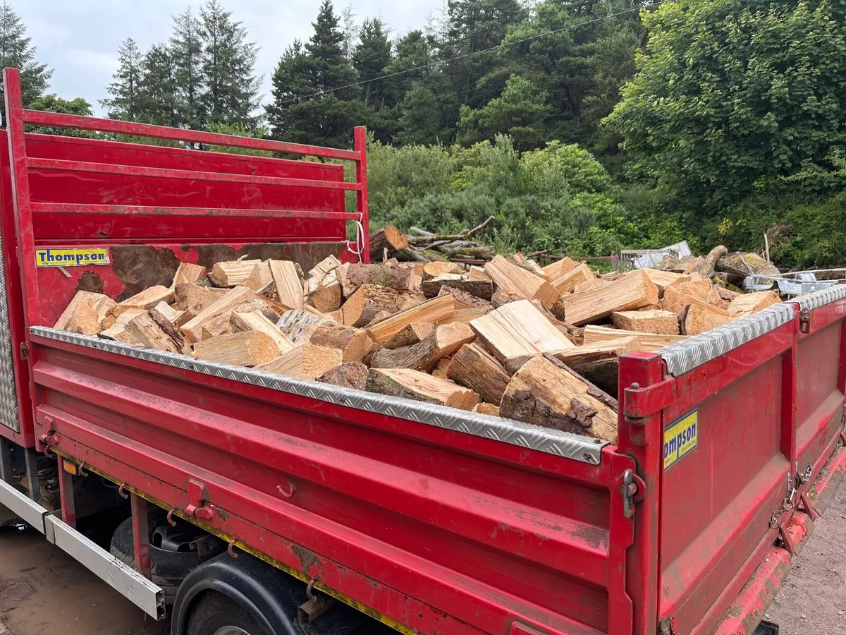 Firewood - Image 1