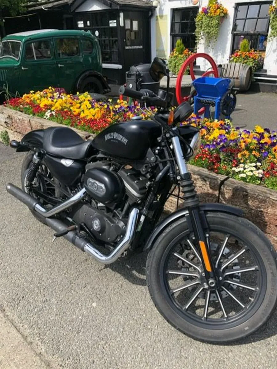 HARLEY DAVIDSON 883 2014 - Image 1