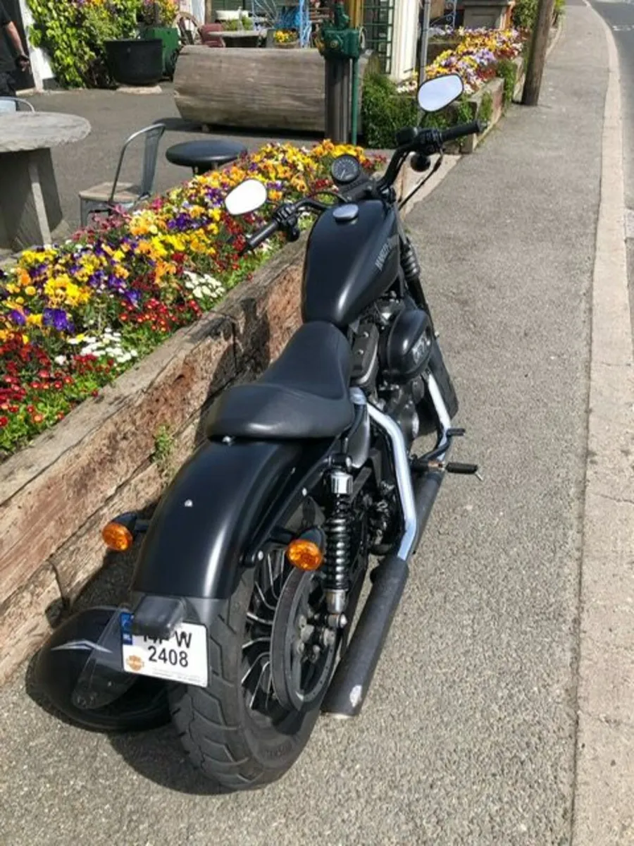 HARLEY DAVIDSON 883 2014 - Image 2