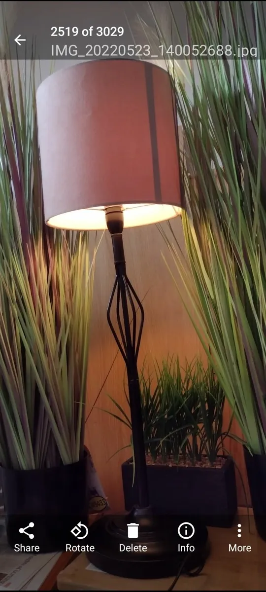 Wrought iron floor lamp or table lamp - Image 1