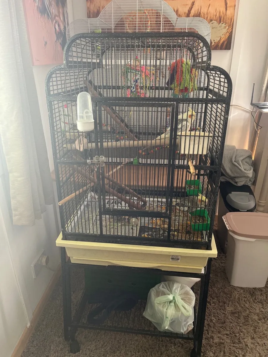 Bird cages - Image 2