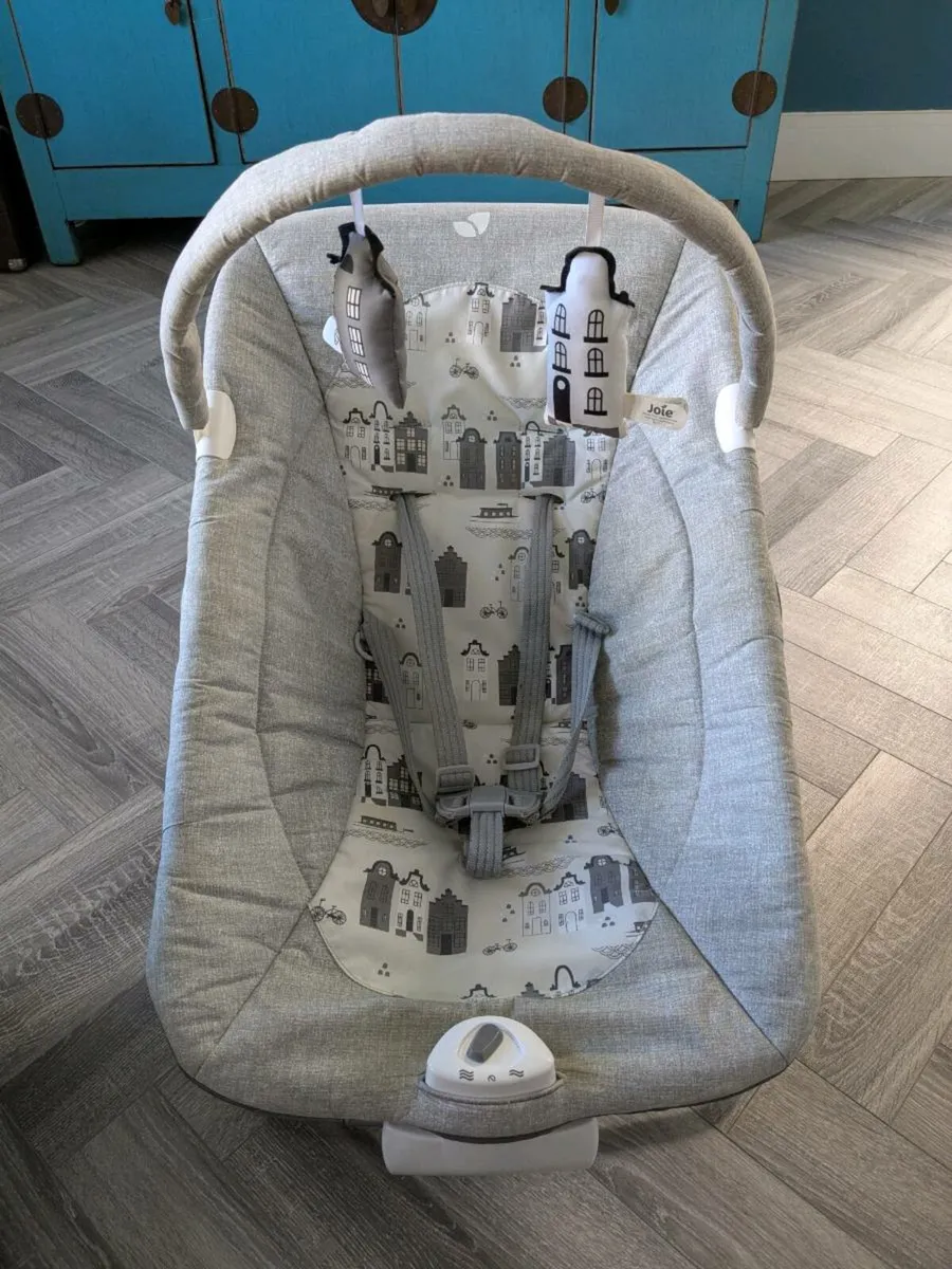 Baby Bouncer - Image 1