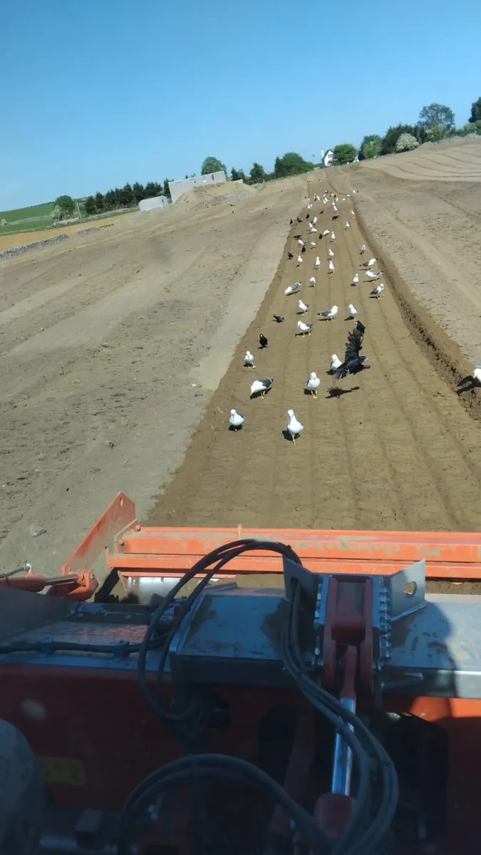 Stone Crushing - Image 2