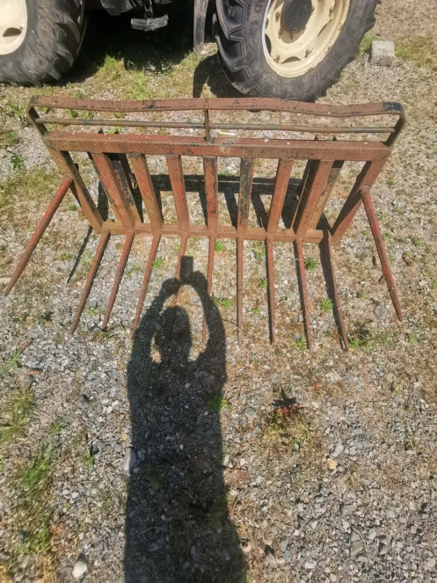Dung grape - Image 3