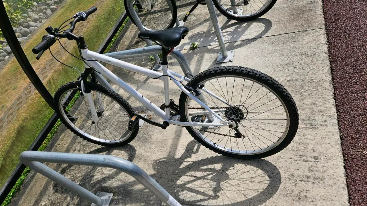 Bicycle child or teenager