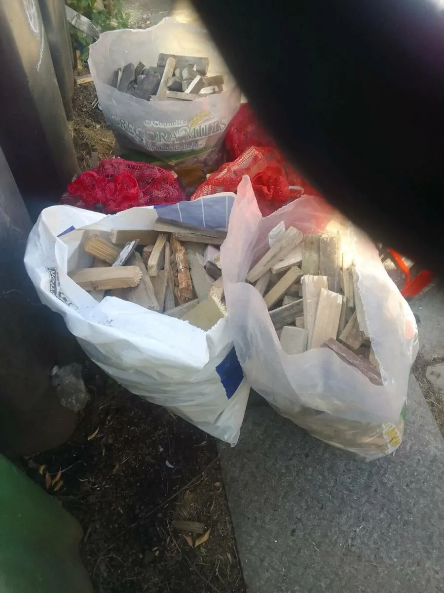 Kindling. Sticks - Image 1