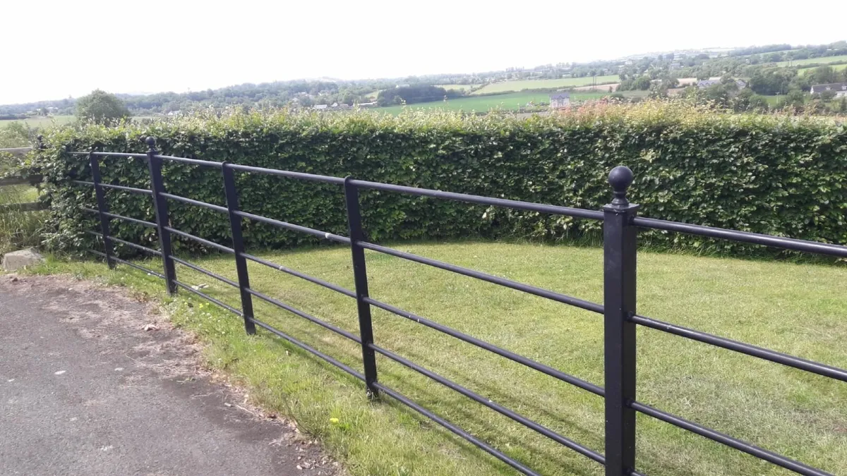 Decorative Gates , garden rails , wall rails etc - Image 2