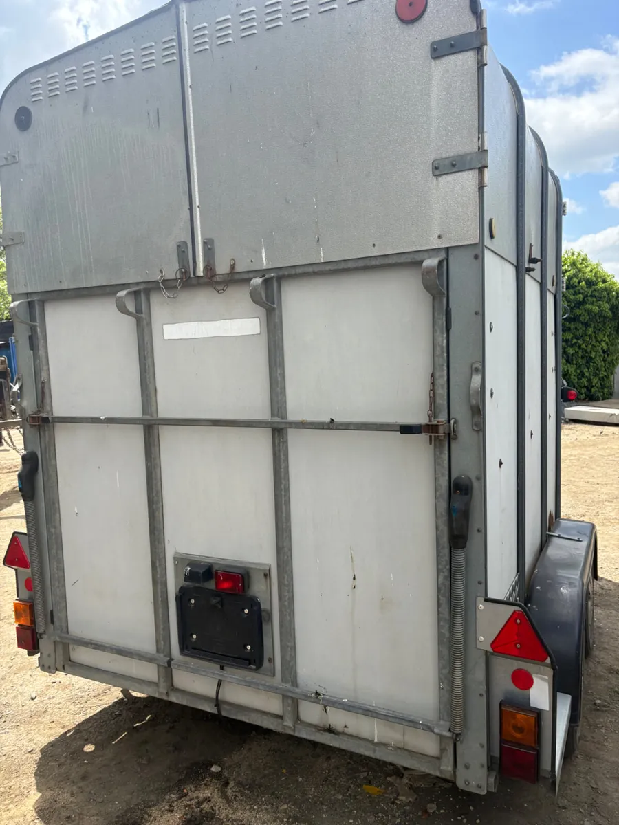 Ifor Williams 510 horse box - Image 3