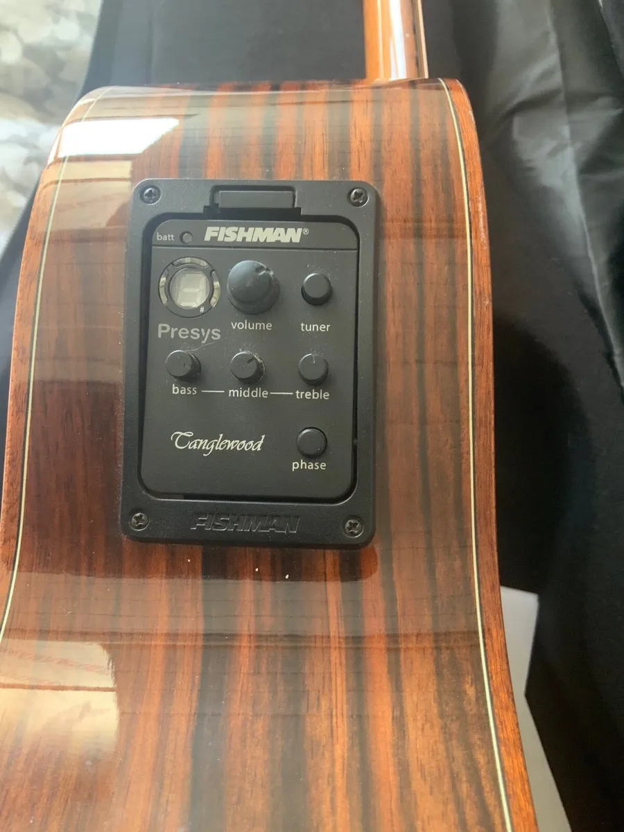 Electro Acoustic Guitar - Image 4