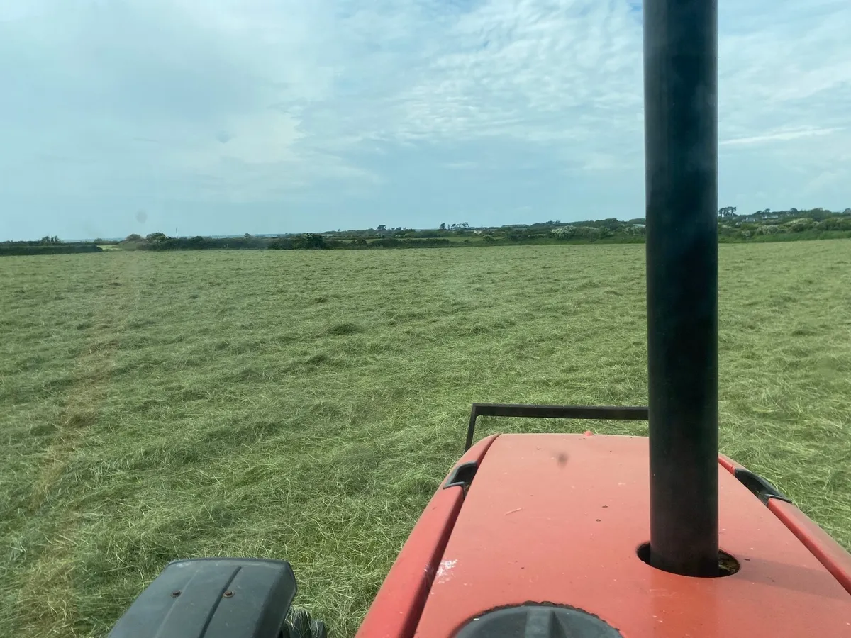 Haylage - Image 3