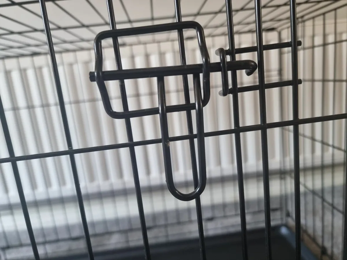 Cage - Image 3
