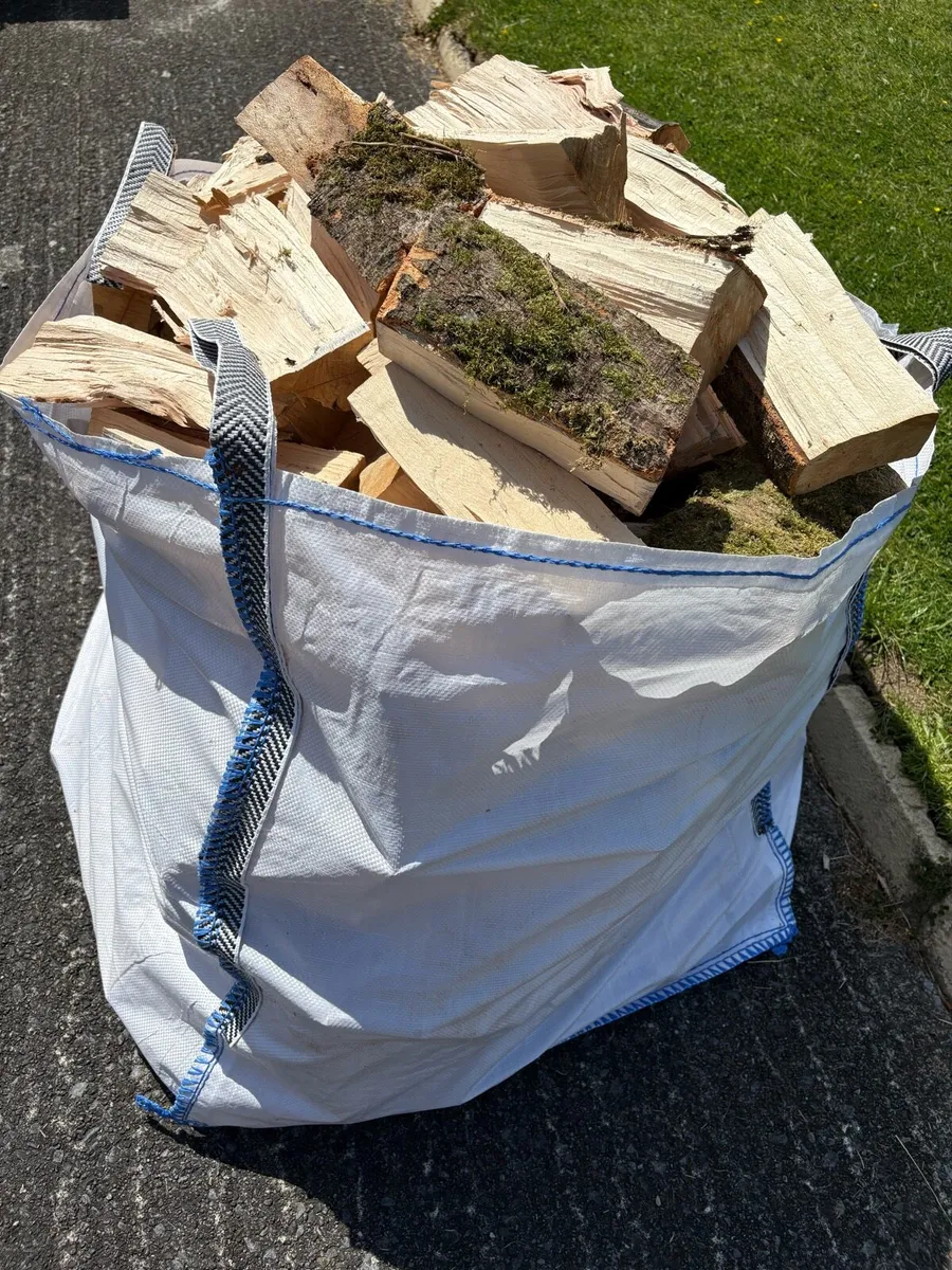 Hardwood Beech Timber - Image 1