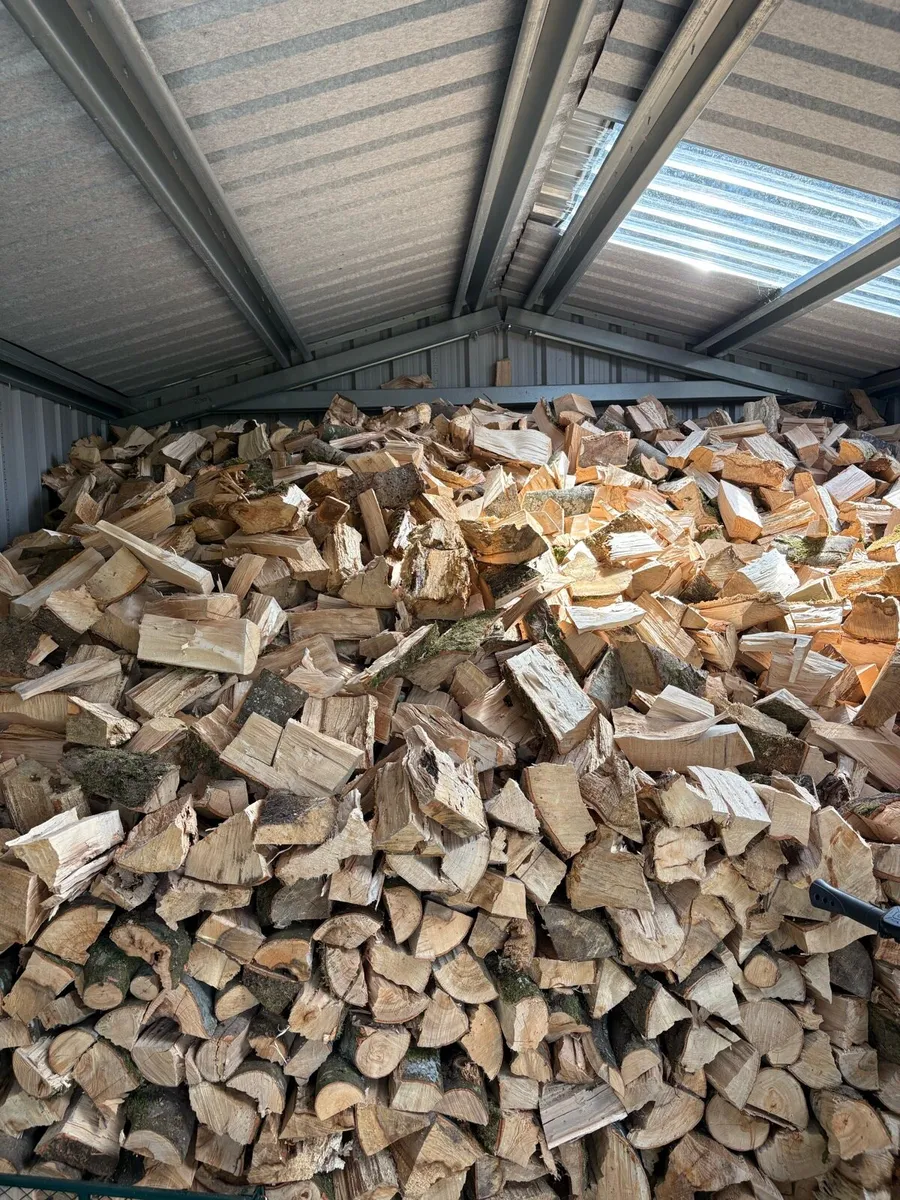 Hardwood Beech Timber - Image 4