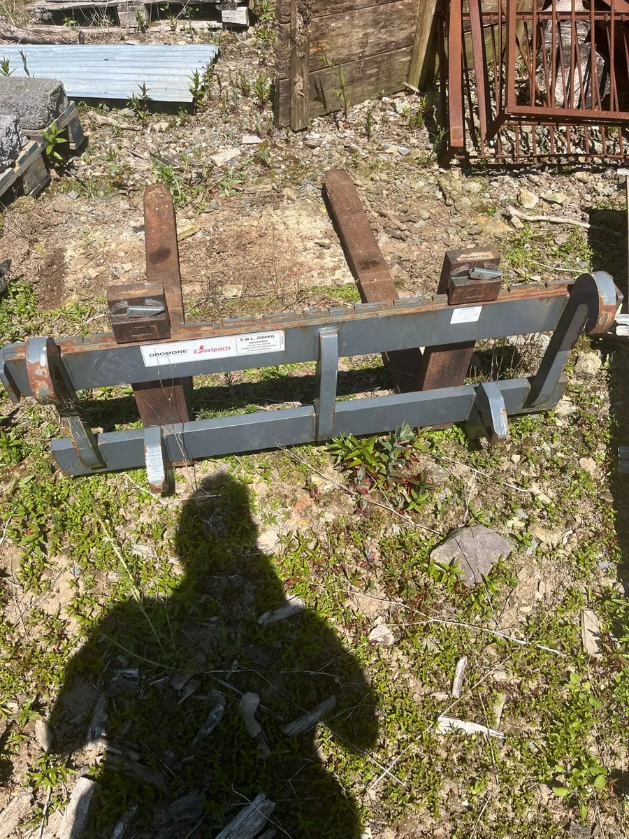 2 ton pallet forks euro hooks - Image 1