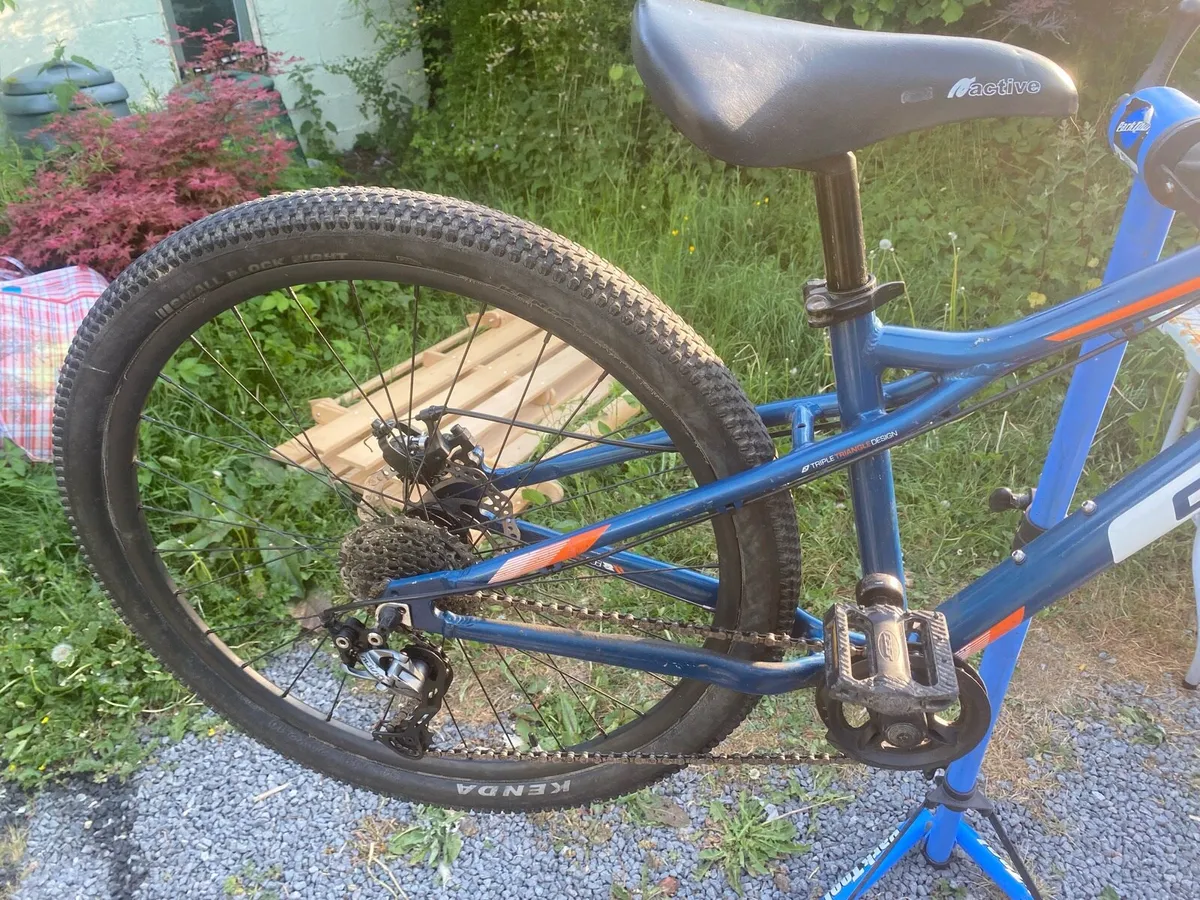 Bike bicycle teenager - Image 4