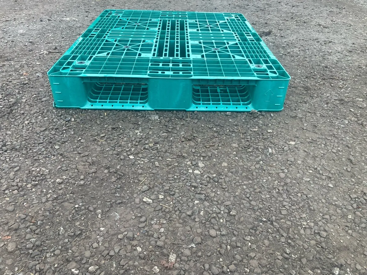 Plastic pallets - Image 1