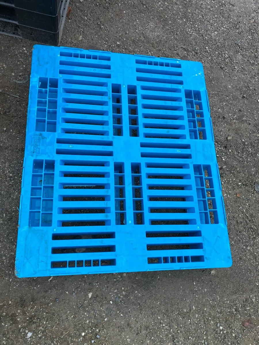 Plastic pallets - Image 3