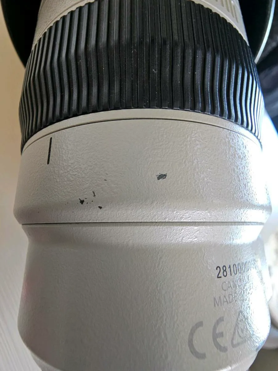 Canon EF 100-400mm f/4.5-5.6l IS ii USM - Image 3