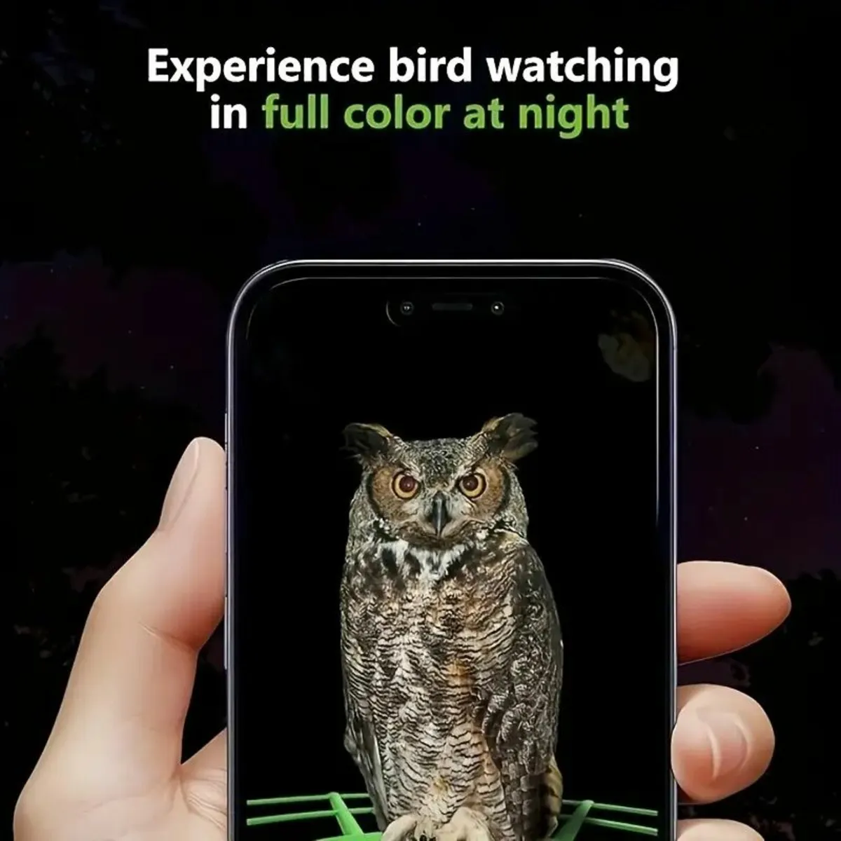 1 Set Green WiFi Bird Feeder with 1296P Camera - Image 4