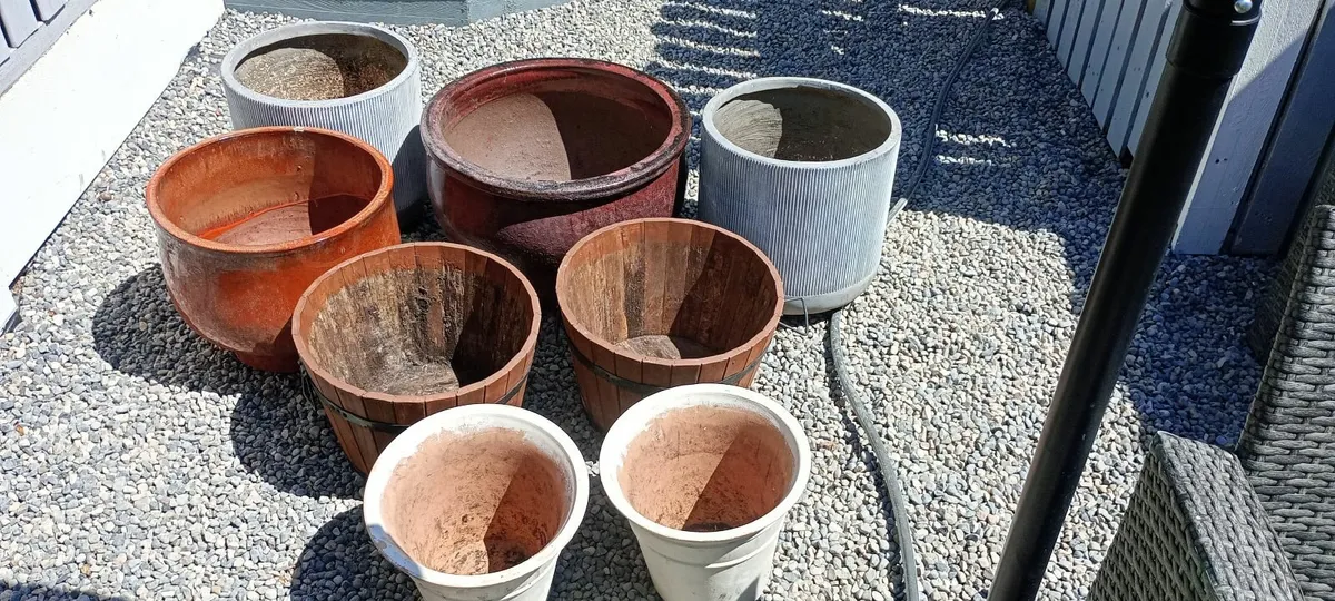 Plant pots - Image 1