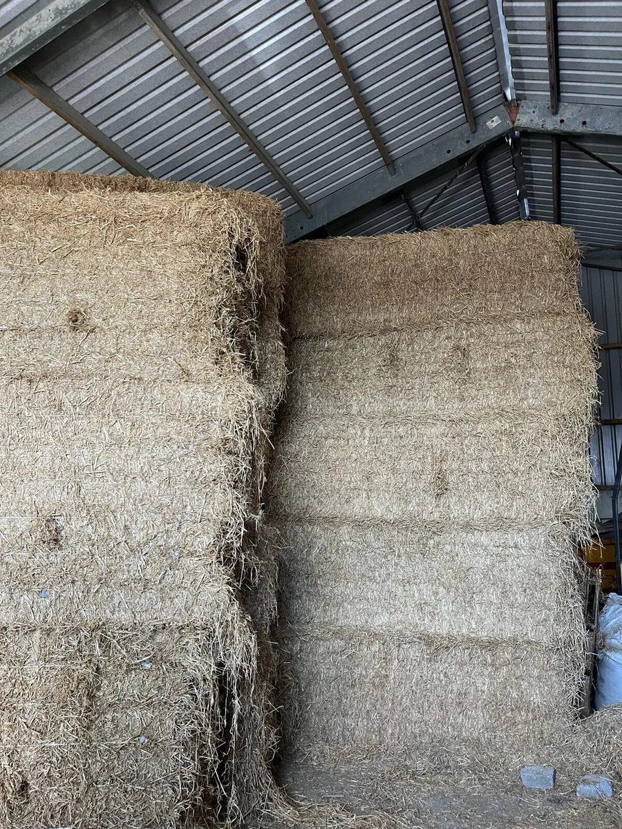 Straw