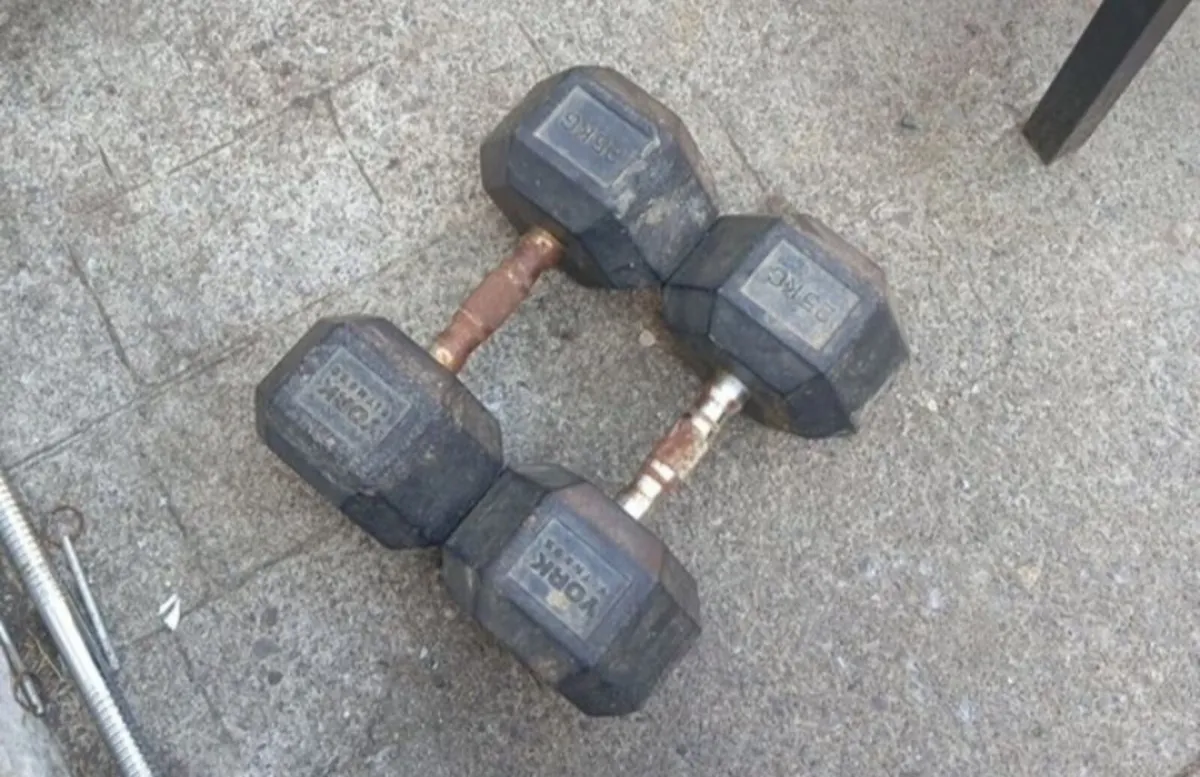 25 kg dumbells