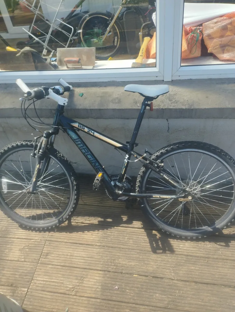 Mountain bike - Image 1