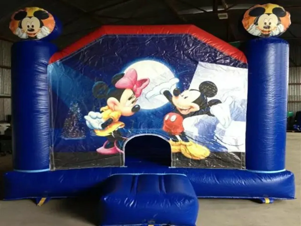 Bouncy Castle - Image 2