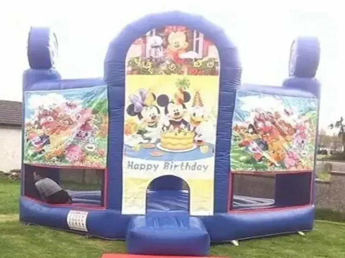 Bouncy Castle - Image 3