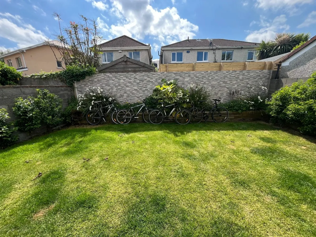 Bicycles - Image 2