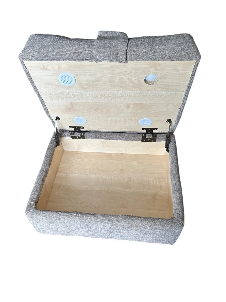 Queen Ann chair with footstool - Image 4
