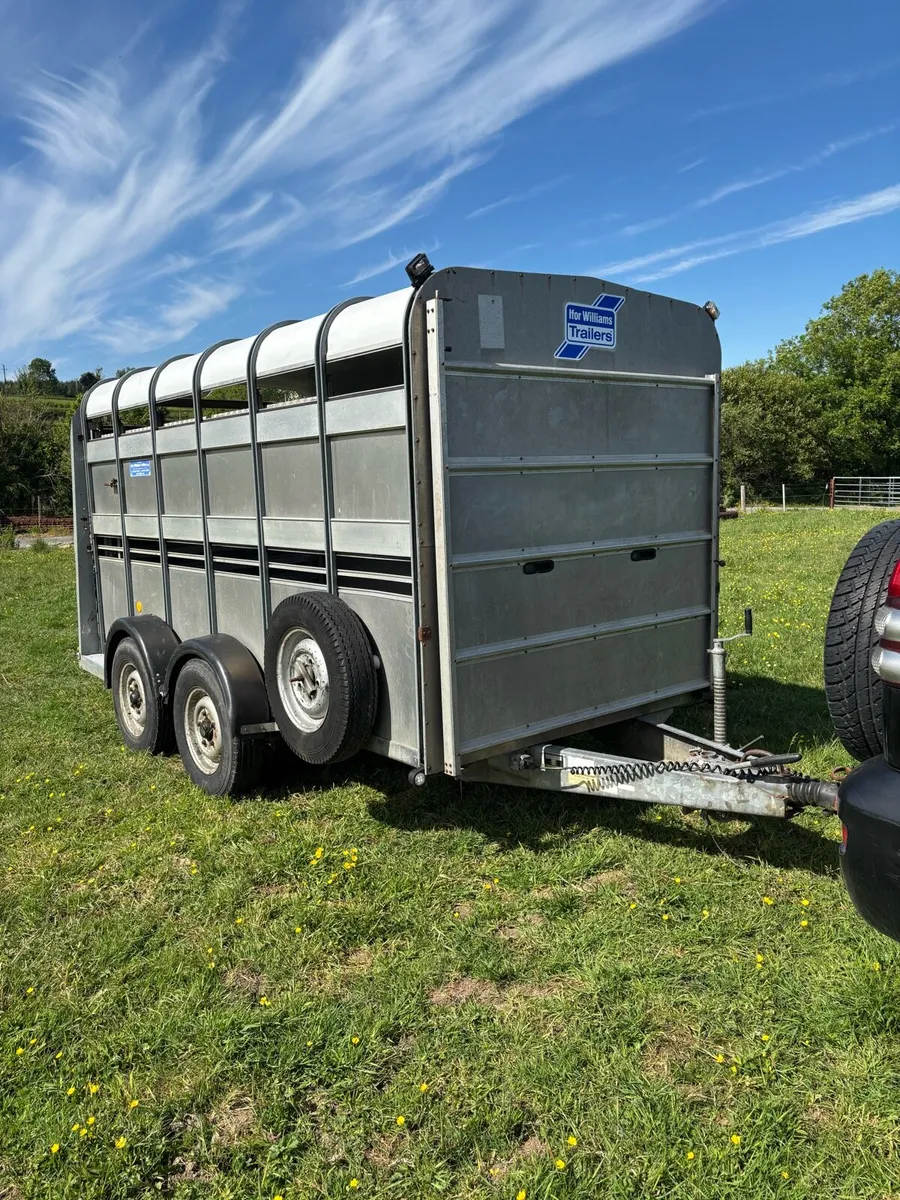 Ifor williams 12x6 cattle box - Image 1