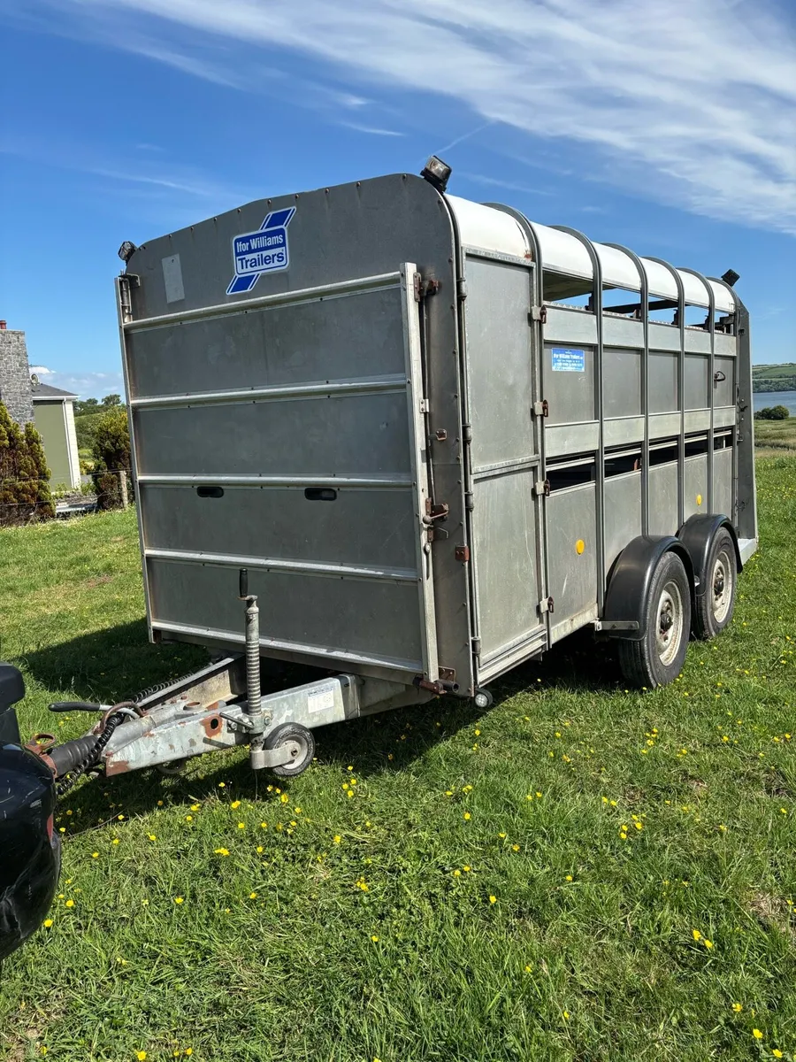 Ifor williams 12x6 cattle box - Image 1