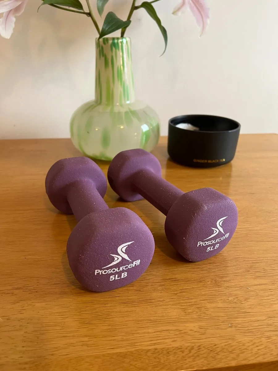 Set of two 5 lb. weights - Image 1