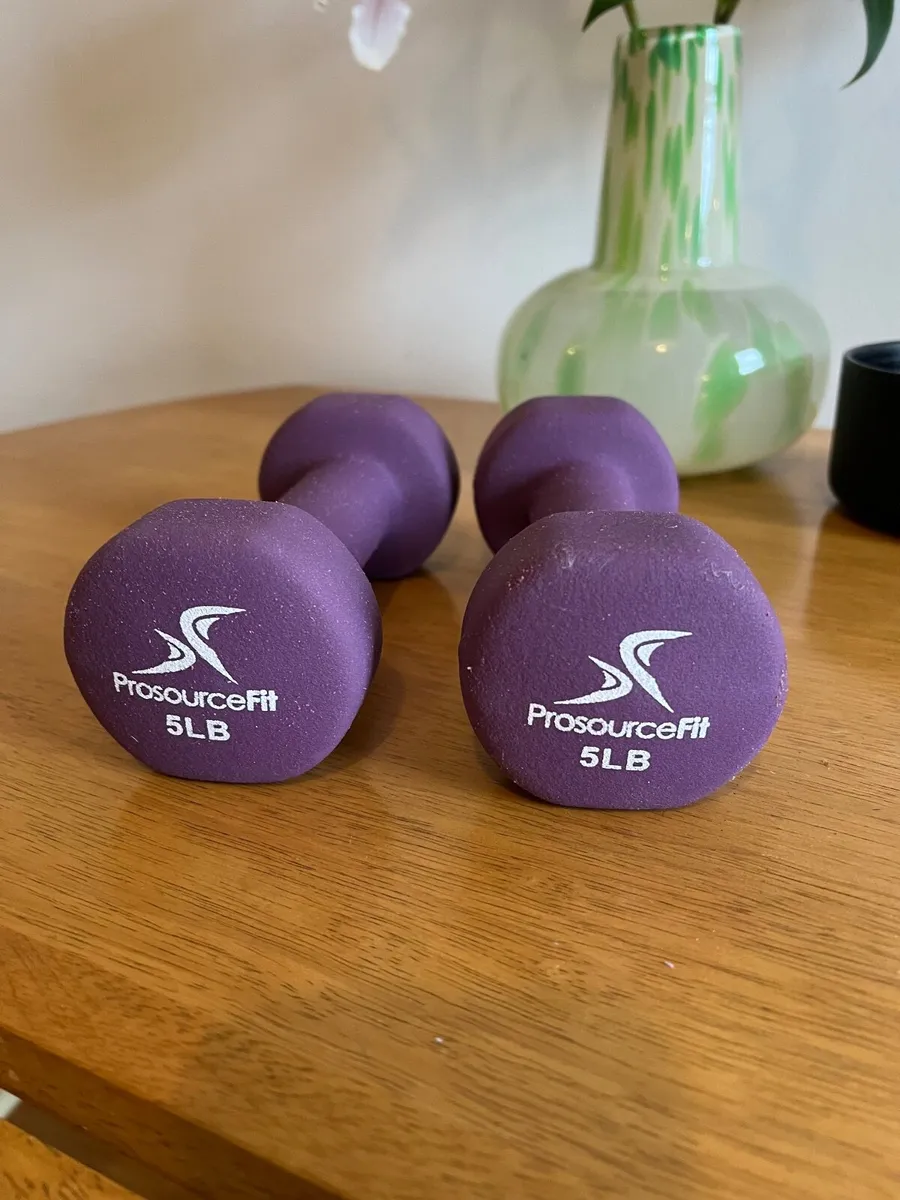 Set of two 5 lb. weights - Image 2
