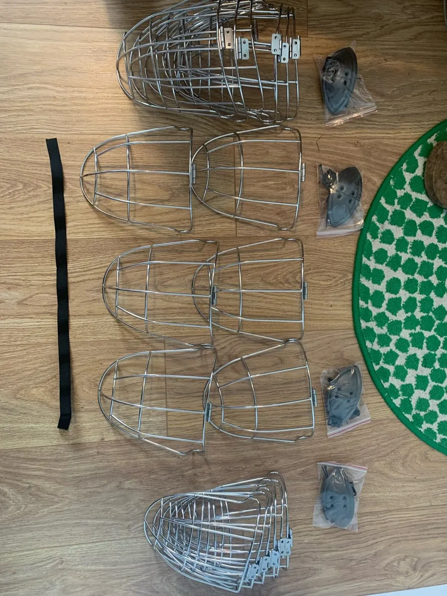 Kilkenny faceguards - Image 2