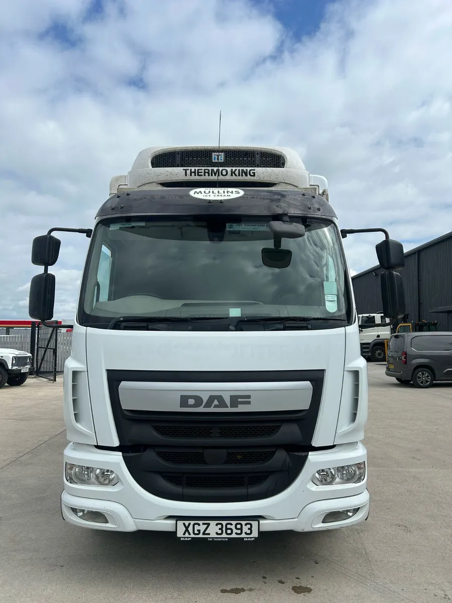 AUGUST 2017 DAF LF 210 FRIDGE - Image 2