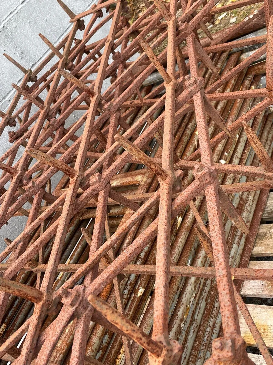 Pin or zig zag harrows - Image 4