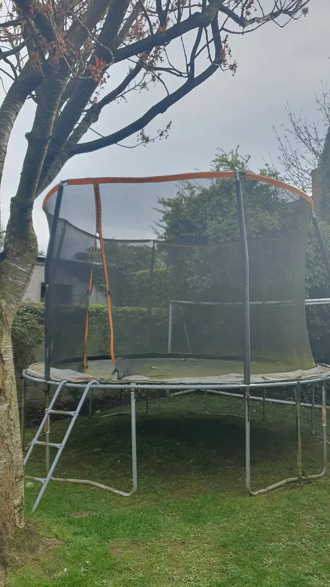 Free  10 ft Trampoline - Image 1