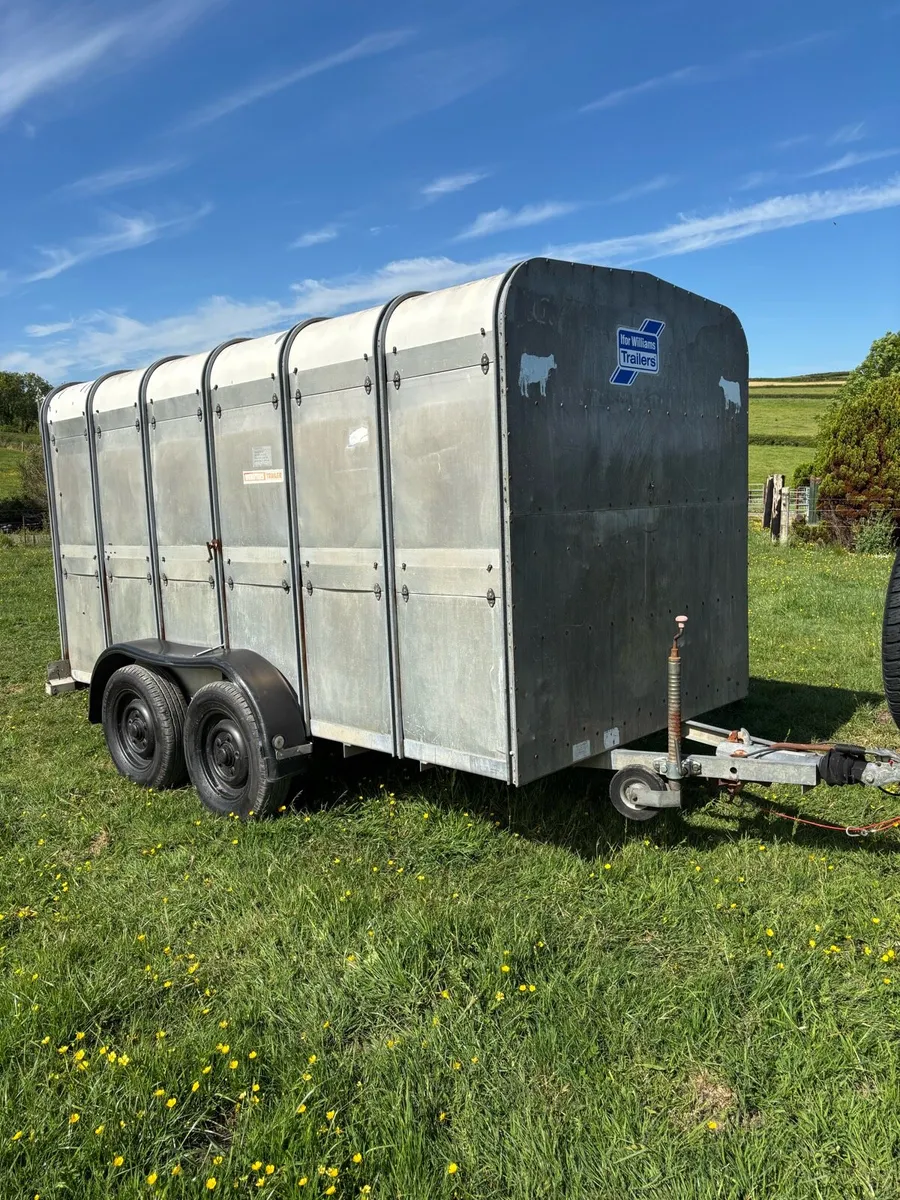 Ifor williams 12x6 cattle box - Image 1